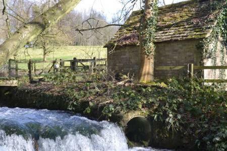 Swan Cottage ไซเร็นเซสเตอร์ ภายนอก รูปภาพ